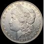 1878 8TF Morgan Silver Dollar CLOSELY
