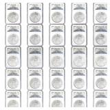 1991-2010 American SIlver Eagle Set [25 Coins] NGC
