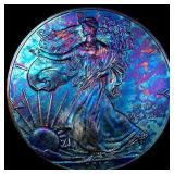 2014 Toned 1 oz Silver American Eagle $1 SUPERB GE
