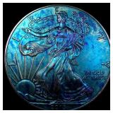 2013 Toned 1 oz Silver American Eagle $1 SUPERB GE