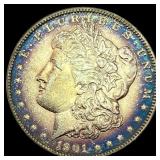 1901 Morgan Silver Dollar CHOICE AU