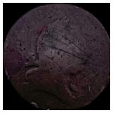 U.S. Large Cent NICELY CIRCULATED