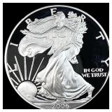 2006-W Silver American Eagle Proof GEM PROOF