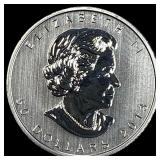 2013 Canada 1 oz Platinum Maple Leaf $50  SUPERB