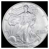 2006-W Silver American Eagle $1 SUPERB GEM BU