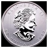 2013 Platinum 1 oz Canadian Maple Leaf $50  SUPER