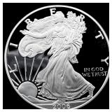 2006-W Silver 1 oz American Eagle GEM PROOF