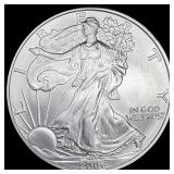 2006-W 1 oz Silver American Eagle SUPERB GEM BU