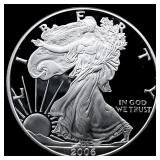 2006-W Silver American Eagle Proof $1 GEM PROOF