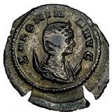 Salonina Billion Ant. Pvdicitas