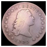 1795 2 Leaves Flowing Hair Dollar