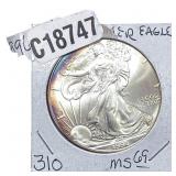 1996 Silver Eagle