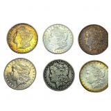 [6 Coins] 1897-1902 Morgan Silver Dollar