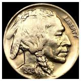 1924-D Buffalo Nickel
