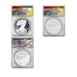 [3 Coins] 2013 Silver Eagle ANACS PR/MS70
