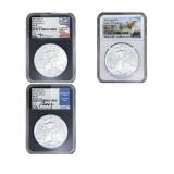 [3 Coins] 2021 Silver Eagle NGC MS70