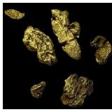gold nuggets HIGH GRADE