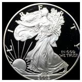 2002-W 1oz Silver American Eagle Proof GEM  PROOF