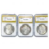 [3] 1881 Morgan Silver Dollar PGA MS64/MS64+