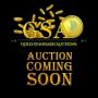October 1st - 4th Cleveland Craftsman Coin Auction