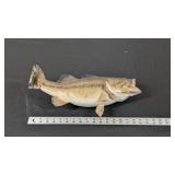 LARGEMOUTH BASS MOUNT DAMAGED