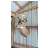 DEER MOUNT