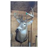 DEER MOUNT