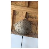 HORNET NEST