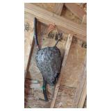HORNET NEST