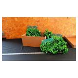 GARLAND