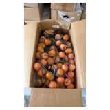 PUMPKIN LIGHTS