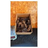 PINE CONES