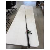 Pinnacle Rod w/ AG Ambassadeur 6600 Reel