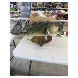 Bass Mount (damaged)