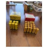 20 ga Shells (23)