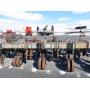 Spring Consignment Auction 2023