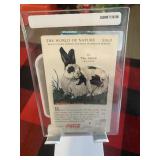 1923 Coca-Cola Rabbit Card Graded 10