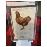 1923 Coca-Cola Chicken Card Graded 10