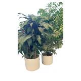 2 Potted Artificial Plants - 4 foot tall