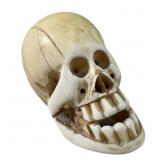Old Japanese Carved Ivory Skull Netsuke