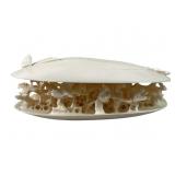 CHINESE CARVED IVORY CLAM