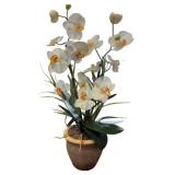 25 inch Artificial Potted Orchid