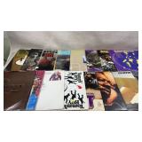 collection of 17 vinyl records