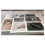 Limited Ed Prints Mark Hobson, Daniel Smith,Jorge