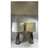 Pair of modern brushed metal table lamp with a