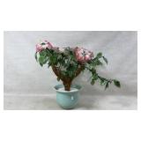 Jade bonsai cherry blossom tree