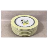 Royal Doulton Carmina 11-Piece Dinner Plate Set