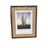 Signed by Janet Napolitano 25x31