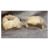 Vintage 1950s Fascinator Hat with Real Feathers,