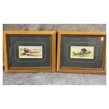 John Player & Sons Tobacco Cards